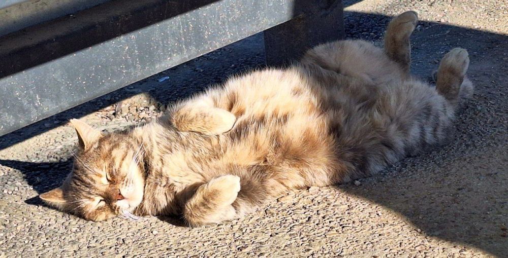 ������ �������, ������!. � ����������� 30 ��� ��� �������