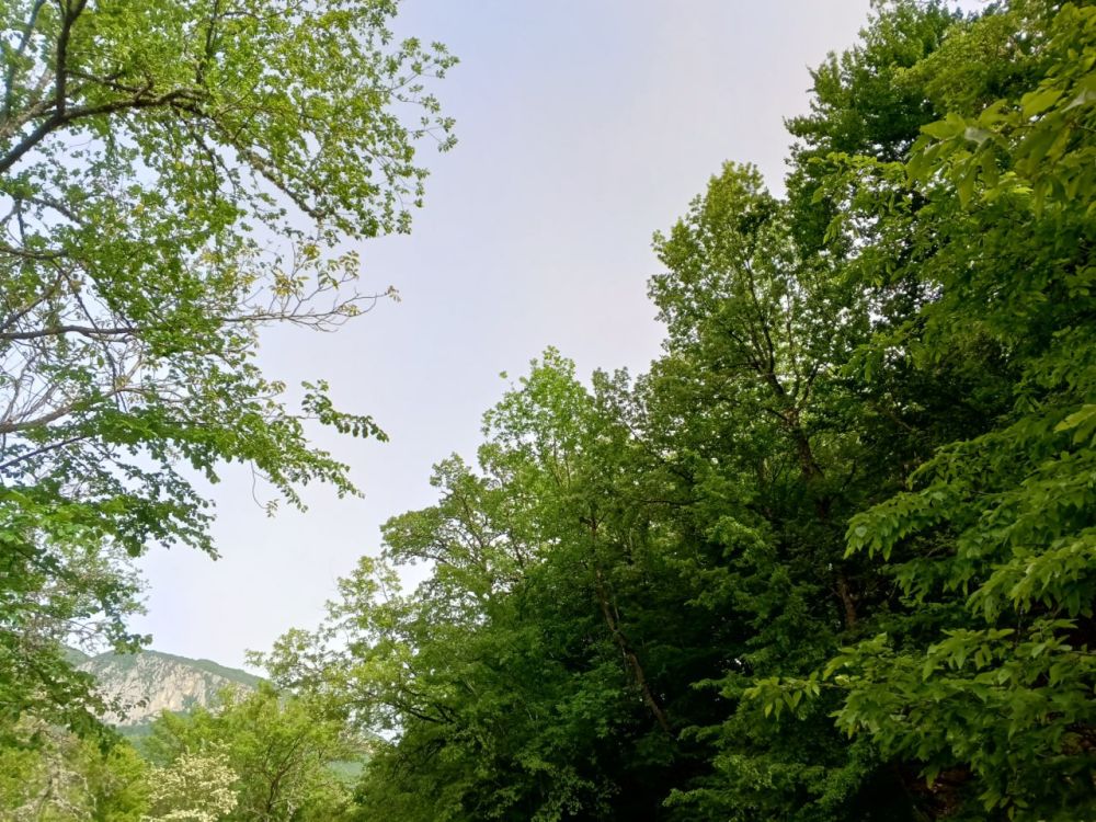 ������� ������ � ����� �� 30 ���