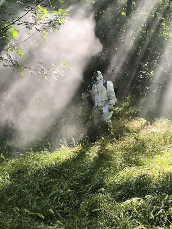 ������������� ��������� ������� ��� �����������: ������ �� ������������ ����� �������