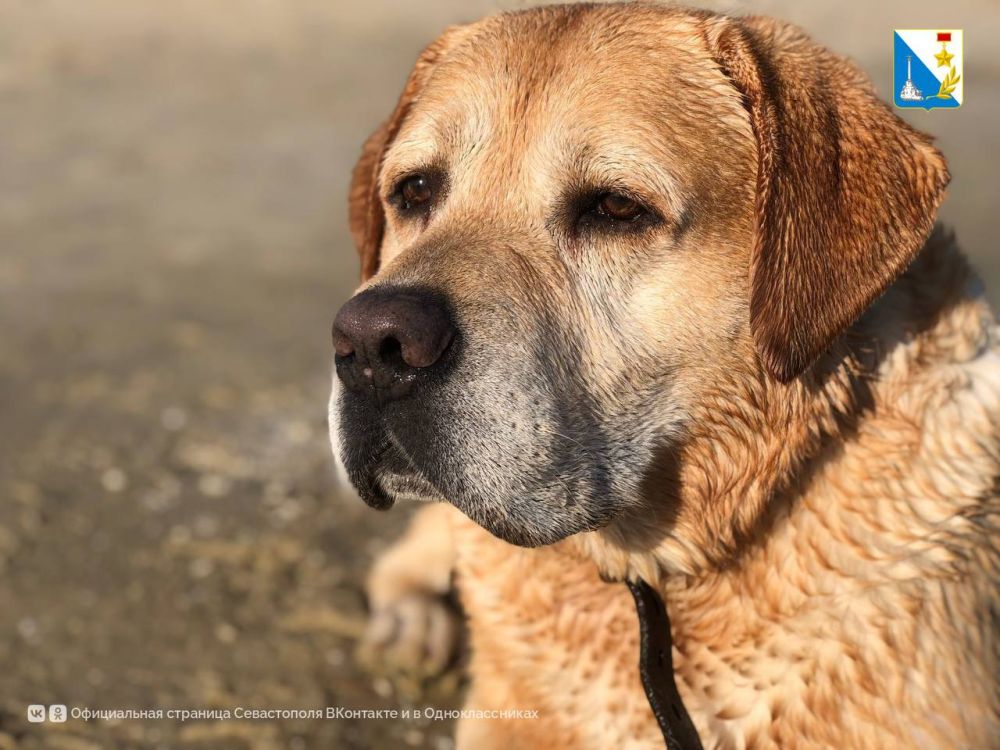 31 ��� ������� ���������� ���������� ����� � ����� � ���������