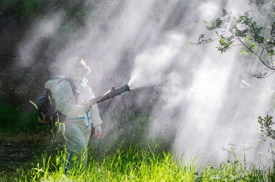 � ����������� ������ ��������� �� ������������ ����� �������