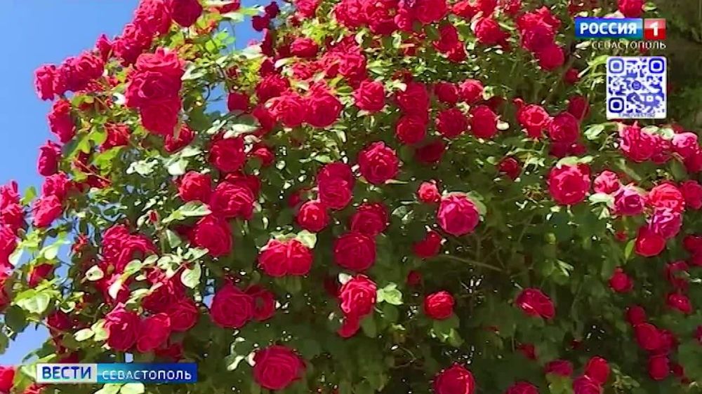 �� ������ ����������� ������ ������ ����