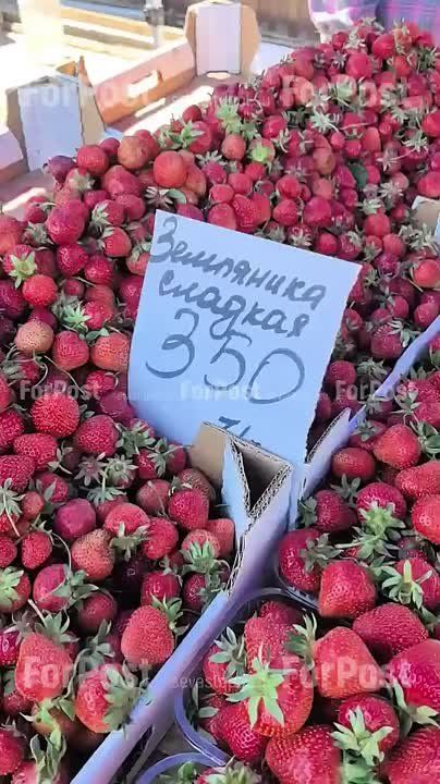 Сегодняшние цены на ягоды в Севастополе