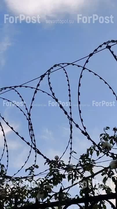 ����� � ���� � ����� ��������� ����� ��������� ������ � �����������:)