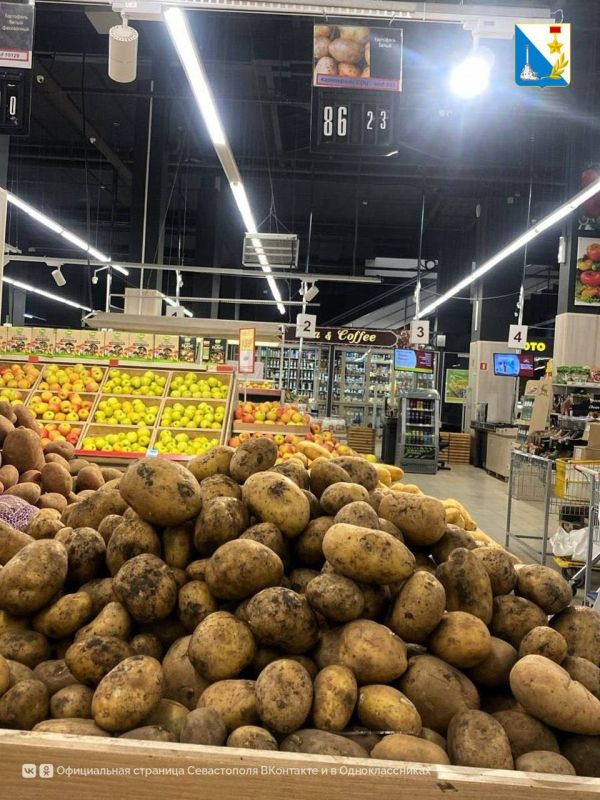 В Севастополе подешевели мясо, яйца и овощи