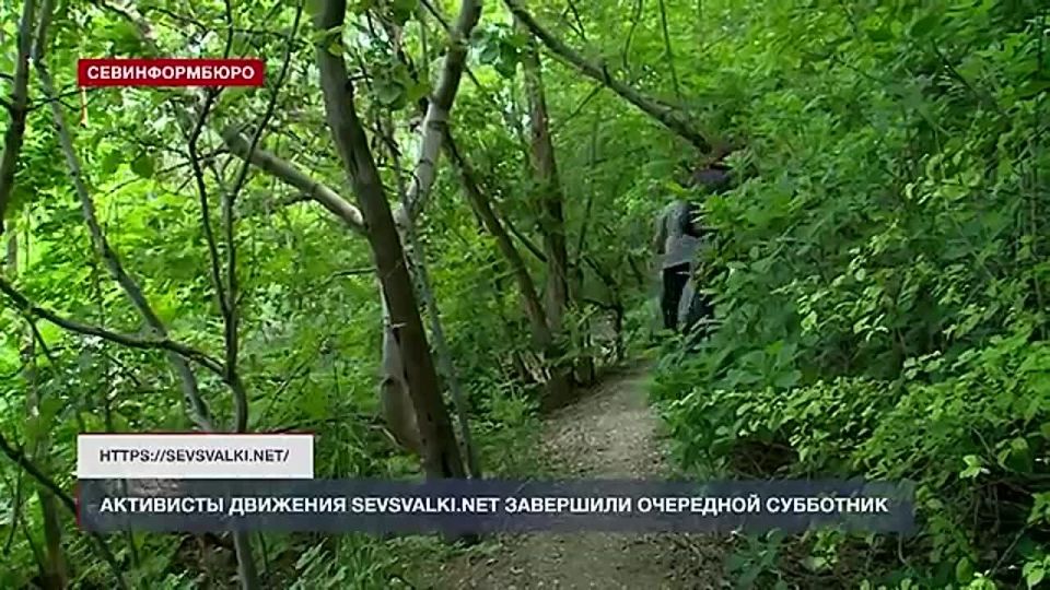 �� ������ ��������� �������: ��������� �������� Sevsvalki.net ����� ����� �� ������������ ���������