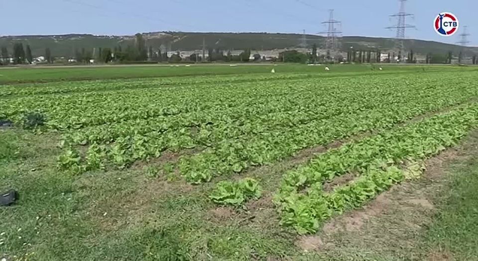 ��������������� ������ ������ 240 ���� ������� ��������� ������