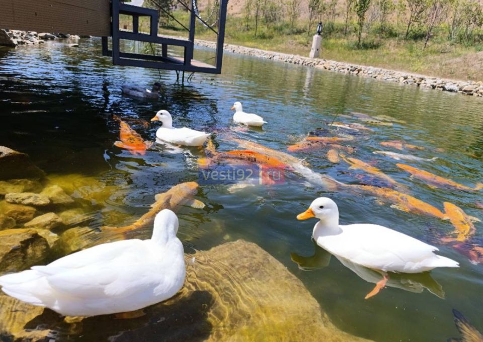 Доброе утро, Севастополь!. Сегодня ожидается солнечная погода на протяжении всего дня