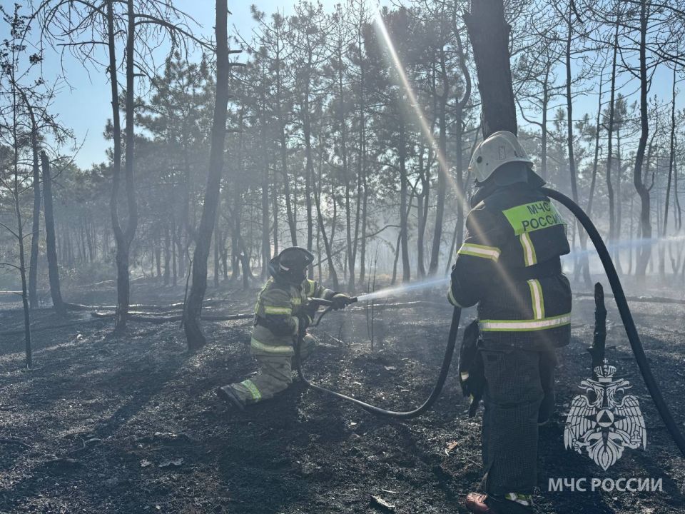 Пожар в районе Камышового шоссе локализовали