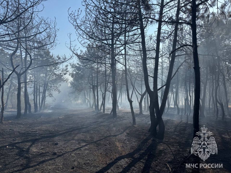 Пожар в районе Камышового шоссе локализовали