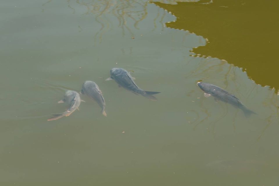  :      ,              