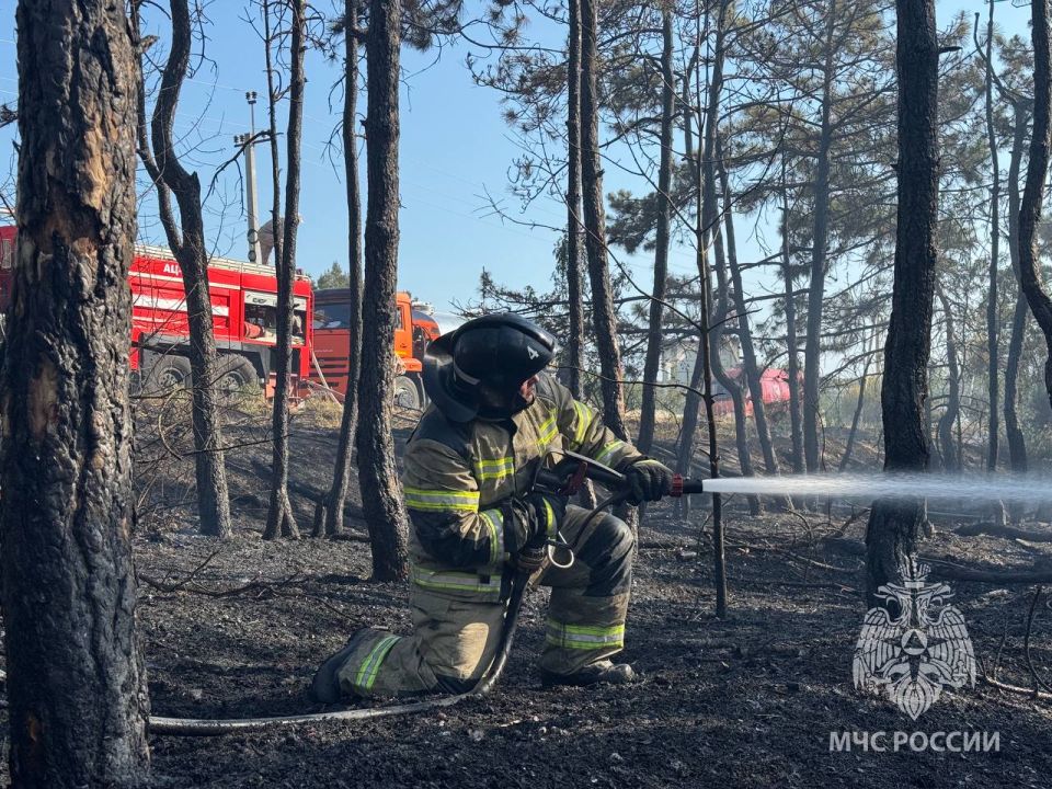 Пожар в районе Камышового шоссе локализовали