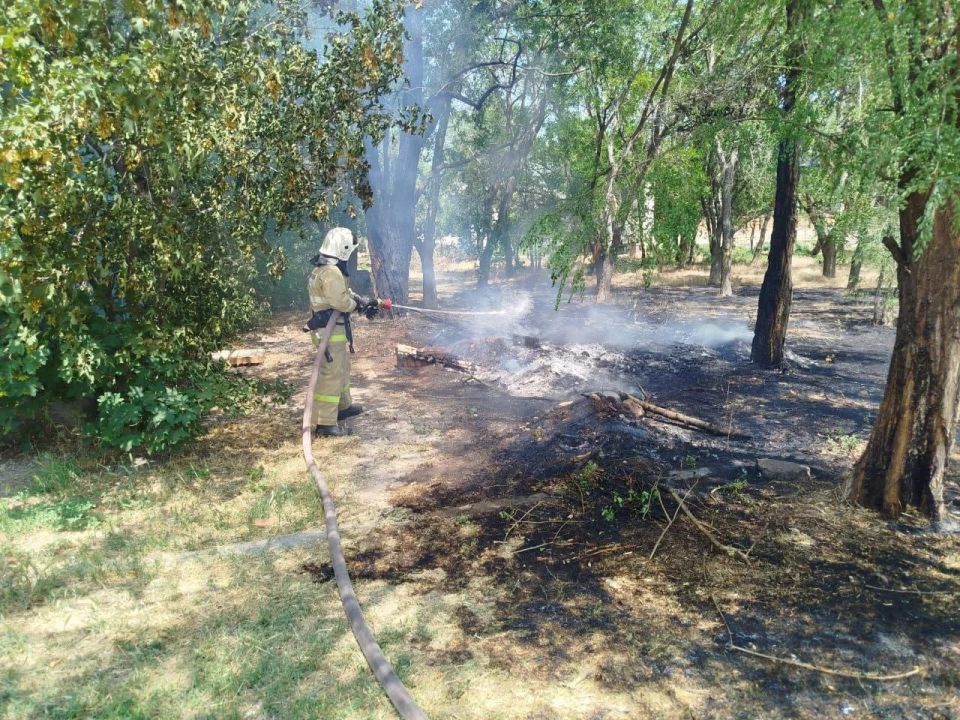 На территории Республики Крым зафиксировано 50 возгораний сухой растительности