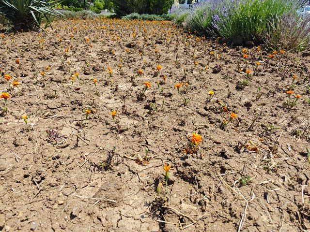 #���_�����. ��������, ������� ���������� � ������ �������, ������� ��������� ����