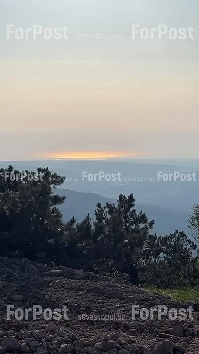 �����. ��� � ��������� ����