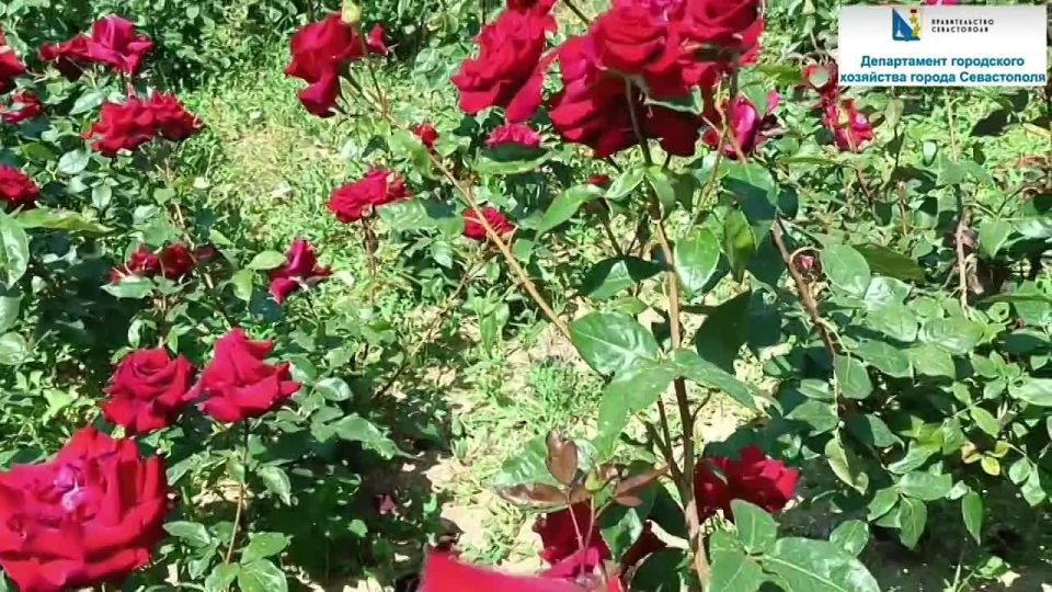 ��������� ��� ����� � ����� ������ �� ������ ����������� ���������� ������� ������ �� ����� ������� � ����������� ������������� �����������