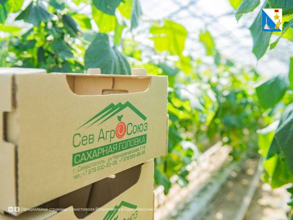 ����������� �� ����������� ������� ������� �������� 3 ��� ������