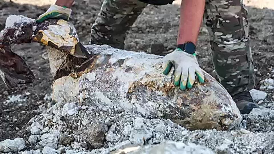 � ����������� �������� �������� ��������� ����� ���