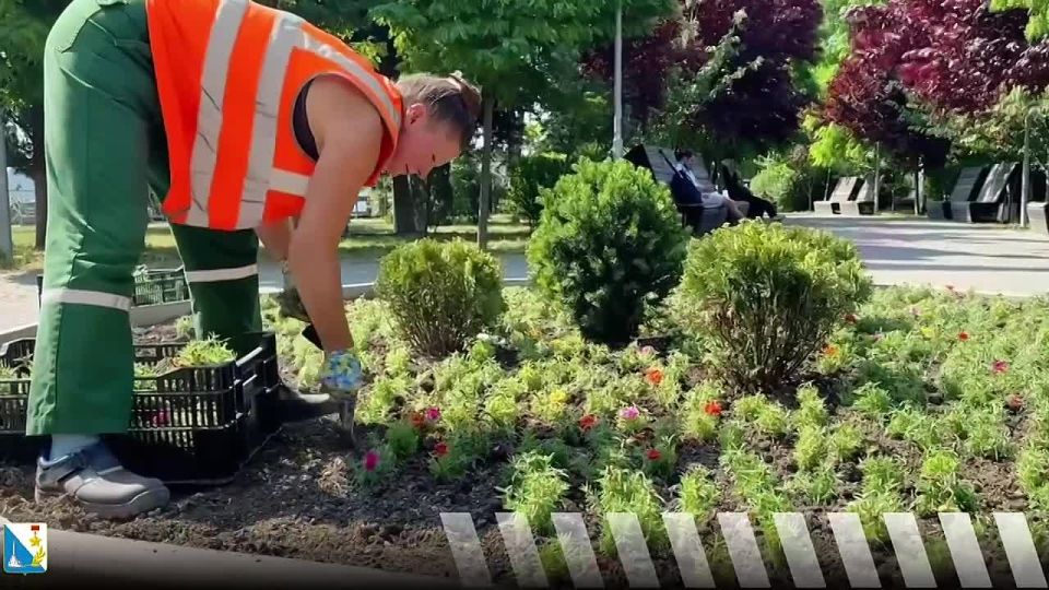 Сквер Пирогова и площадь Восставших украсили цветами