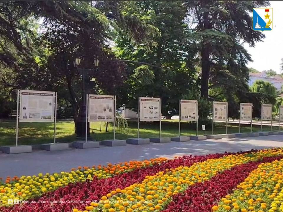 ������, ��������� ����������� � �������� �������� �� ��� �����������