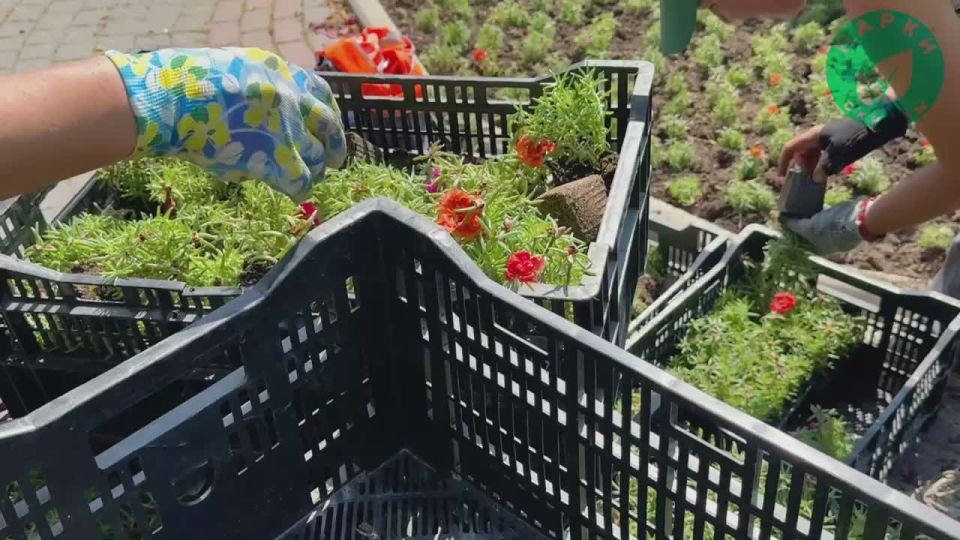 Сквер Пирогова и площадь Восставших заиграли новыми красками