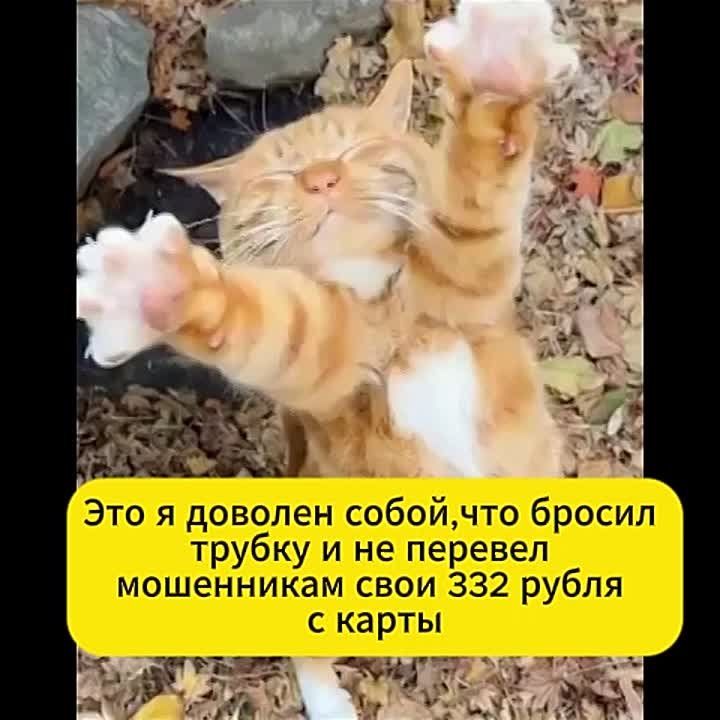 Мошенники активизировались перед длинными выходными