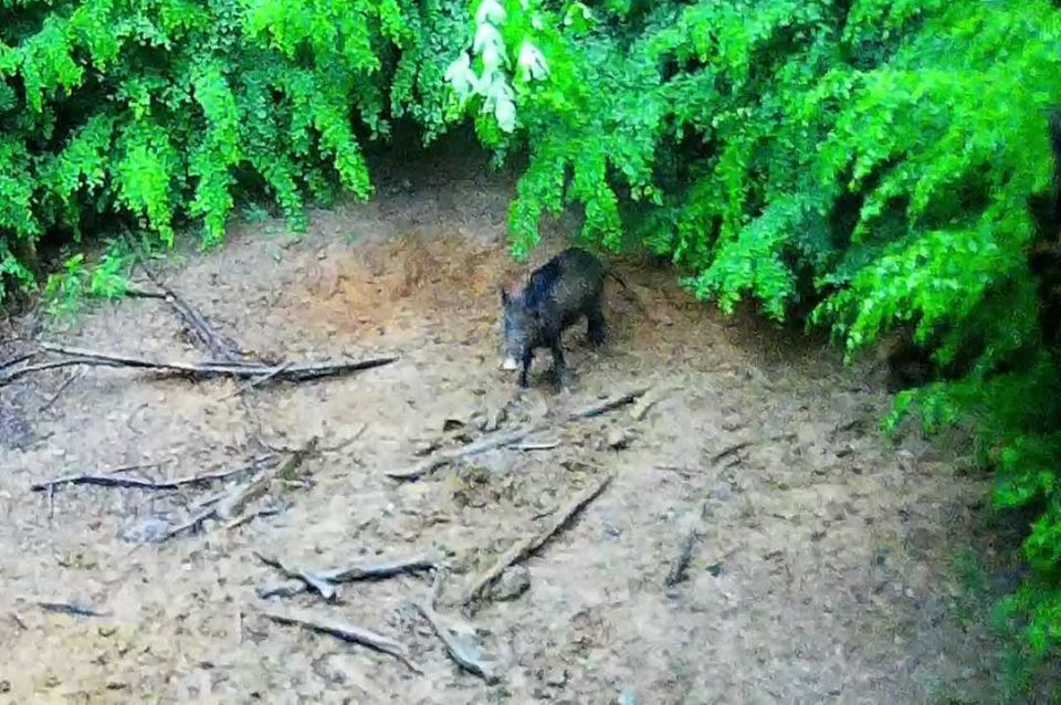 � ����� ����������� ����������� ����������� ��������� �������!