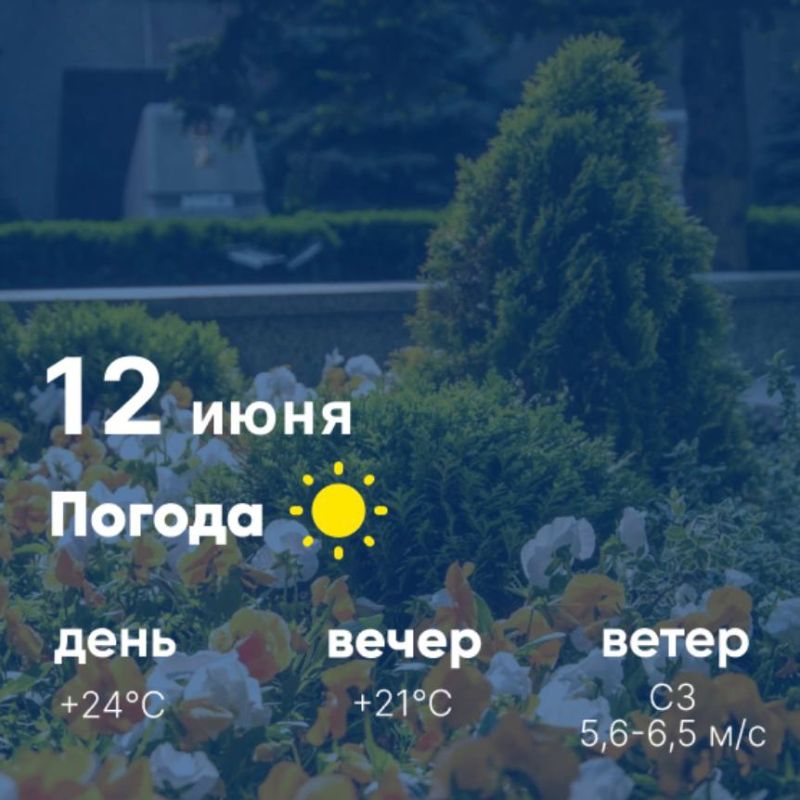 ������ ����, �������������! �������, 12 ����, � ������ ������ ������