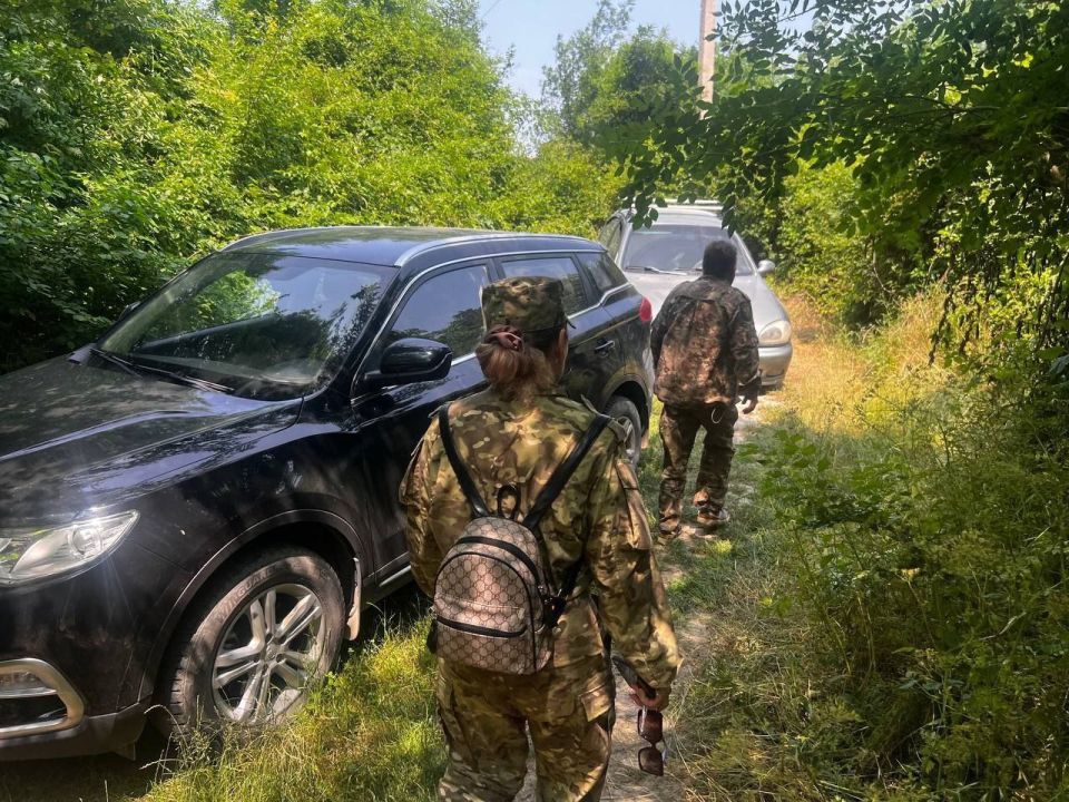 ��������������� ��������� �������� � �������� � ����������� ���