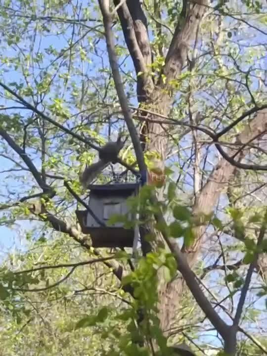 Доброе утро, Севастополь!. В первой половине дня, по прогнозам синоптиков, ожидается дождь, а во второй — переменная облачность