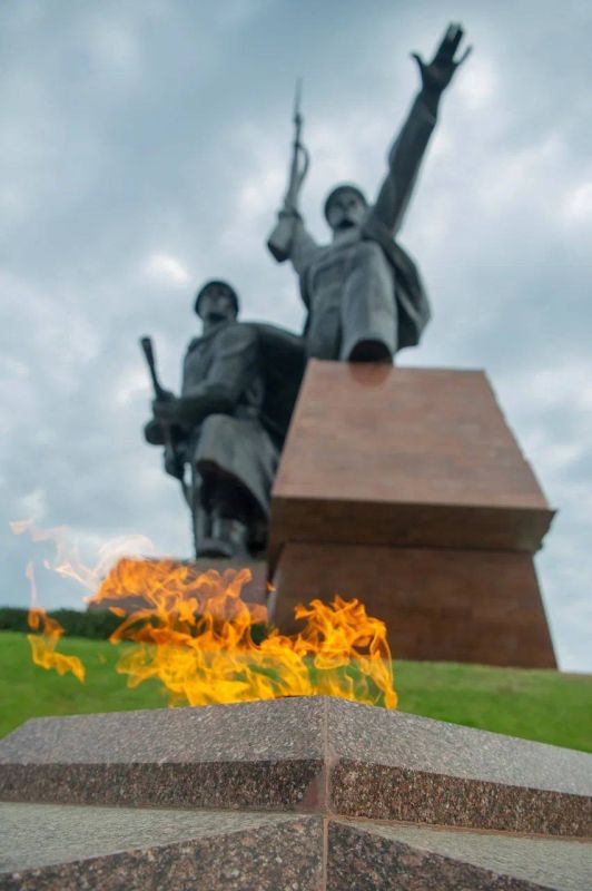 ��������� ���������: ������� �������������! ������� ������ �������� ������ ����������� 242 ����