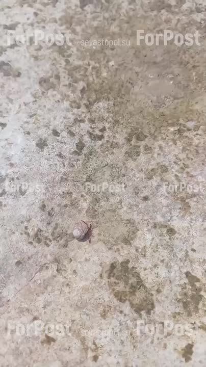 На выходных в Севастополе и Крыму повеет прохладой