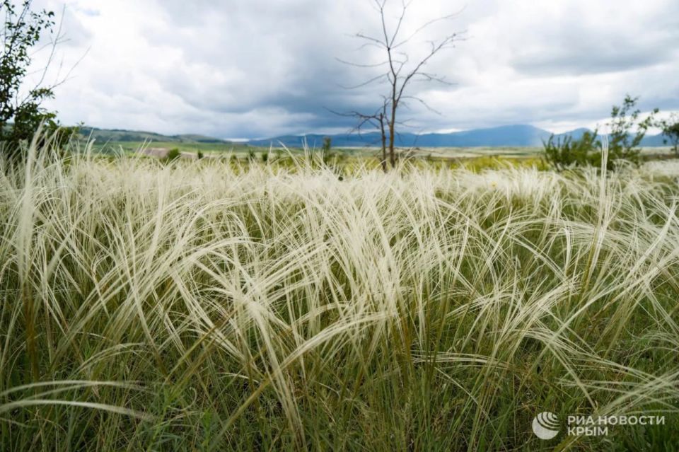 Прогноз погоды в Крыму на субботу