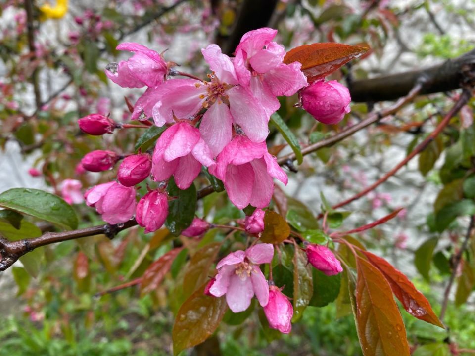 ������� ������ � ����� �� 15 ����