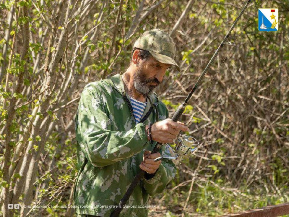 ����������� � ���� ���� ��������� 193 �������������