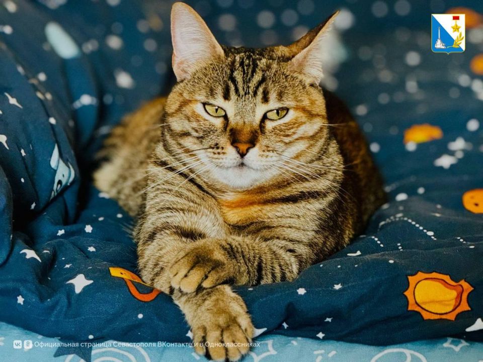 ��� ��������� ������� ����� � ����� �� ���� ������