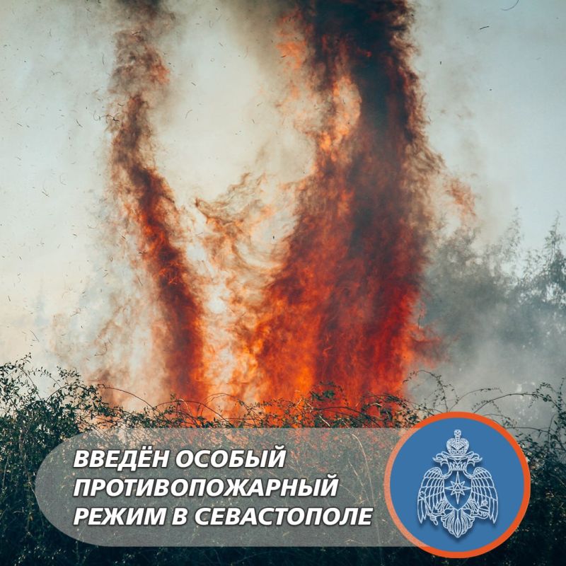 � ����������� ������ ������ ��������������� �����