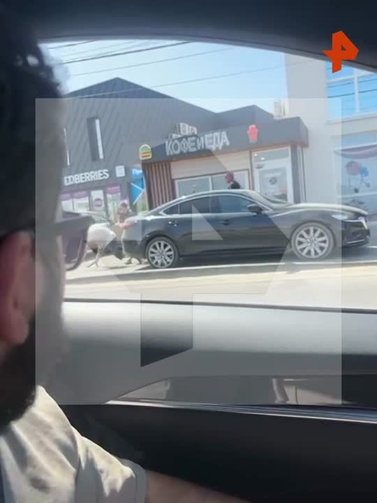 ������ ����������� ������� ������ ���� ����� �� ����� � ��� ��������� ��������