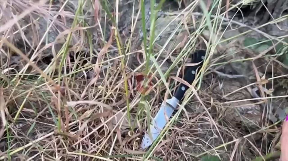 � ����������� ������� ����� �� ������� � ��� ���������� �� �����