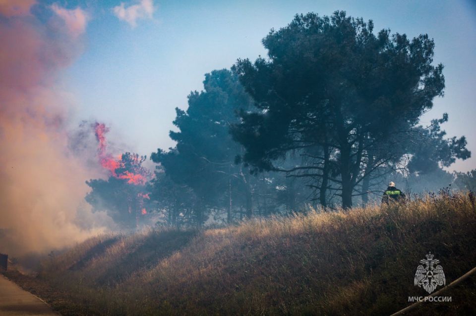 16 ���� ����� ��������� ����� ������� �������������� � �����������