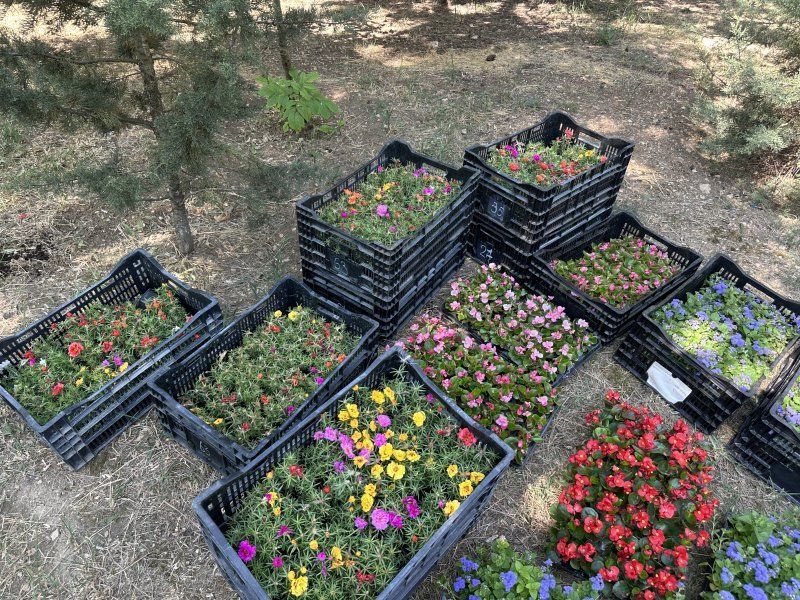 � ����� 60-����� ���� �������� ������ �����