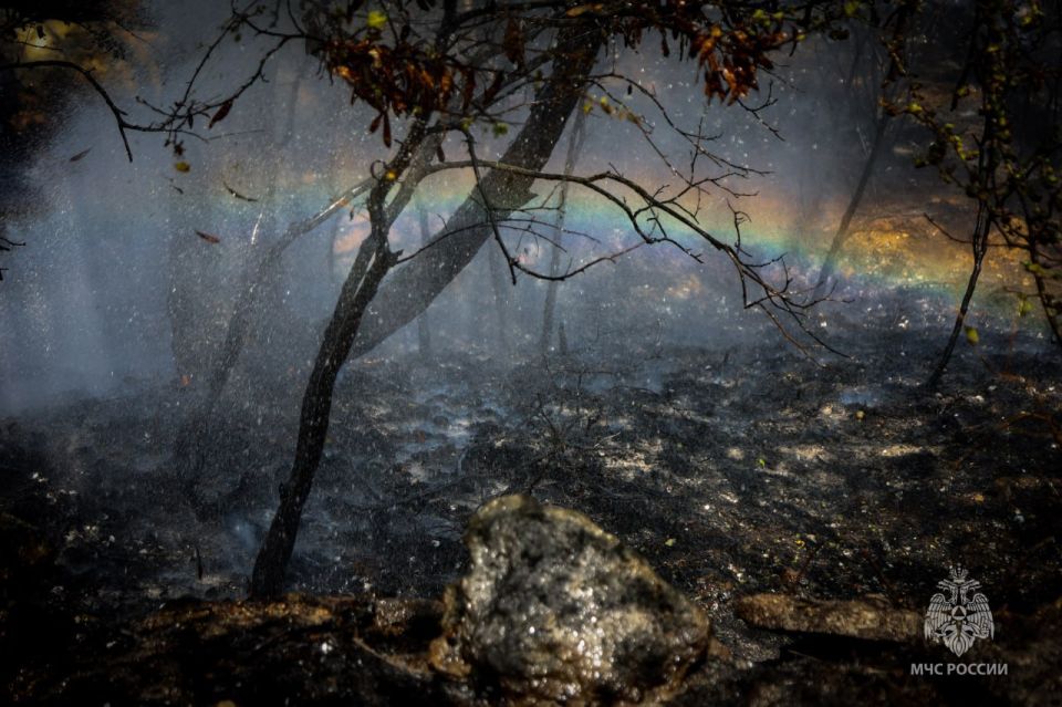 16 ���� ����� ��������� ����� ������� �������������� � �����������