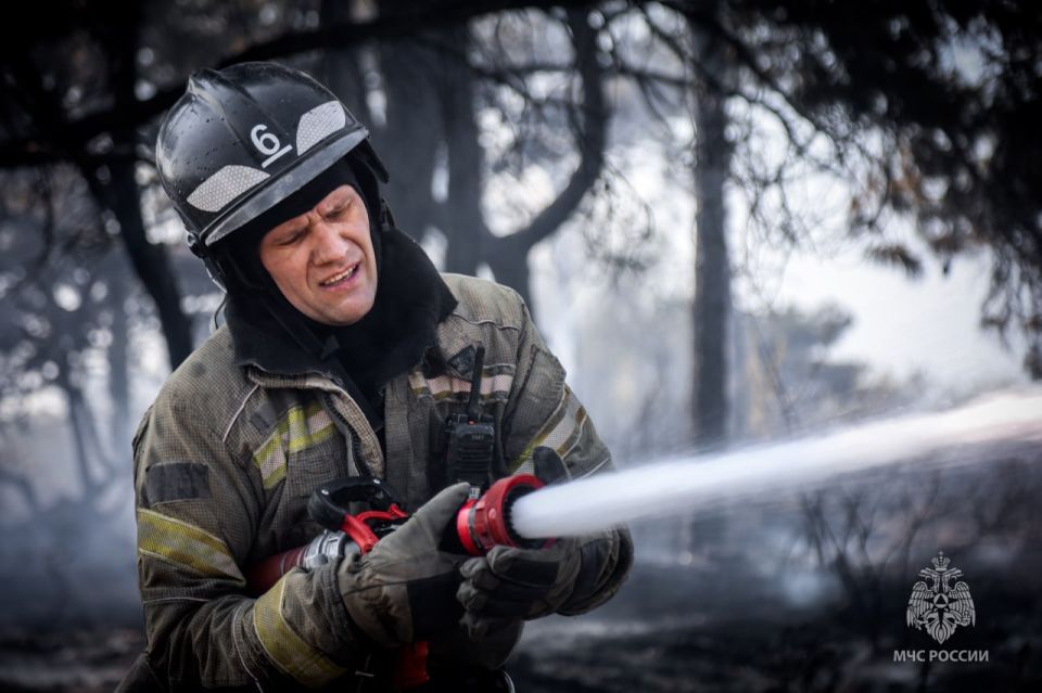 16 ���� ����� ��������� ����� ������� �������������� � �����������