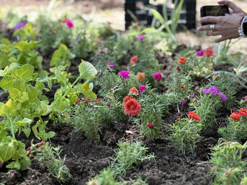 � ����� 60-����� ���� �������� ������ �����