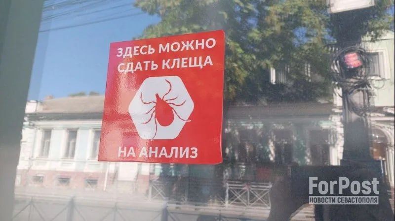В Крыму и Севастополе с начала сезона зарегистрировано 13 случаев заболевания иксодовым клещевым боррелиозом