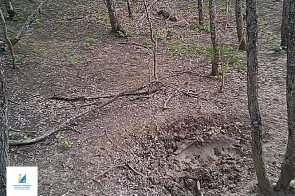 ��������������� ��� ������������� ����������� �� ������, ������ ������ ����� �������� �����