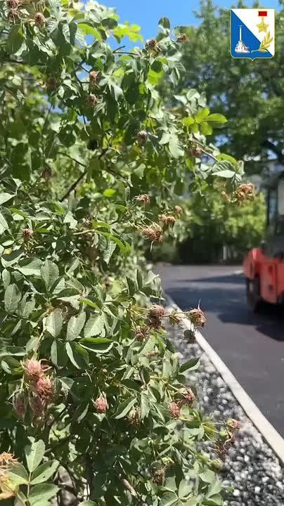 Продолжаем ремонт внутриквартальных дорог