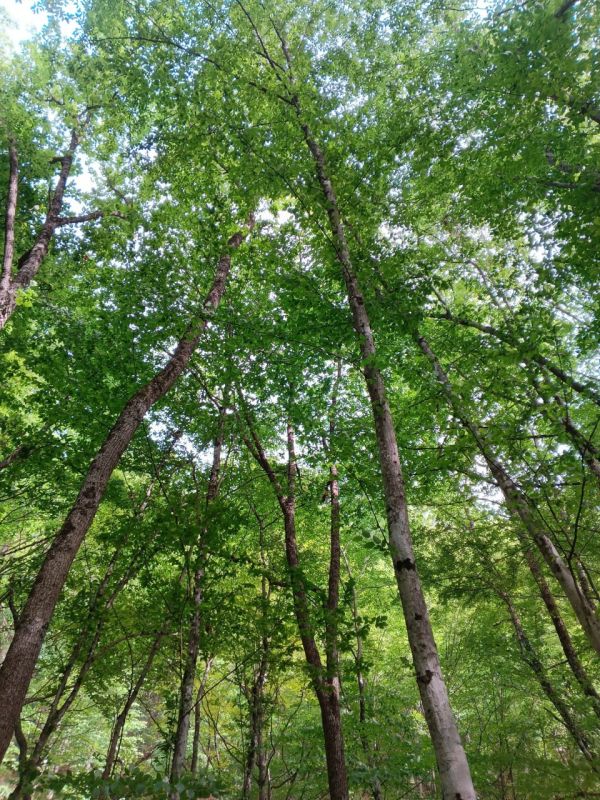 Прогноз погоды в Крыму на 18 июня