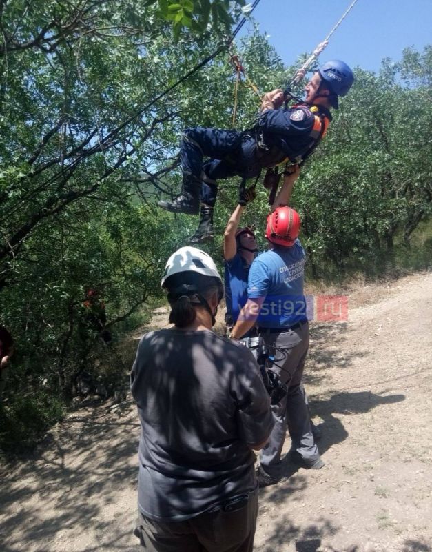 ������-������������� ������� �� ���������� ������������ ����� �� ������� ������ �������