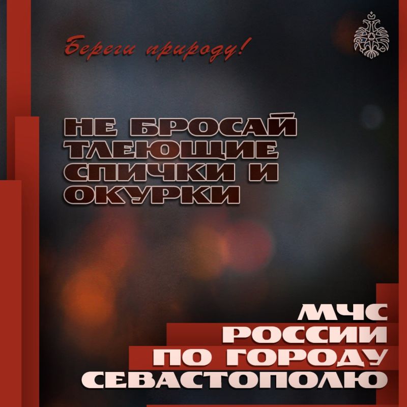 Береги природу и кошелёк!. В Севастополе жарко и засушливо, потому действует особый противопожарный режим